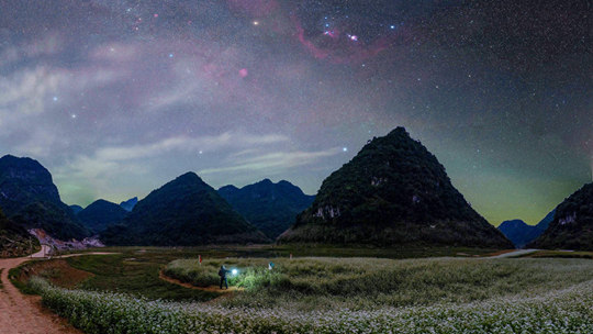 ��������Ԥ��