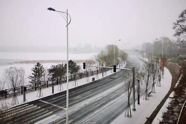 ��������Ԥ��