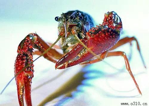 什么季节去邯郸好玩