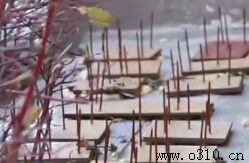 �����Ź�