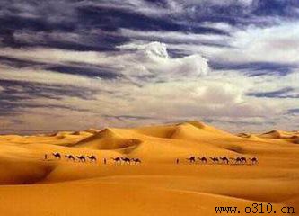 �����ɲ�����ѧԺ